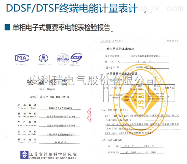 DDS/DTS终端电能计量表计检验报告