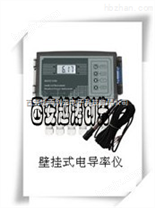 电导率仪/壁挂式电导率仪/盘装式电导率仪/在线式电导率仪