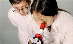 中国科学院大学团队在锡基钙钛矿光电探测器方面取得新进展