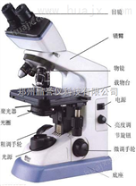 恩施显微镜|生物显微镜|光学显微镜价格