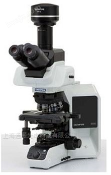奥林巴斯BX53荧光相差显微镜