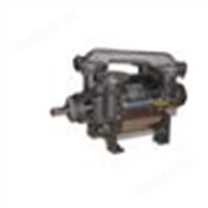 EDWARDS小型干湿泵A73602983-nXDS10iC