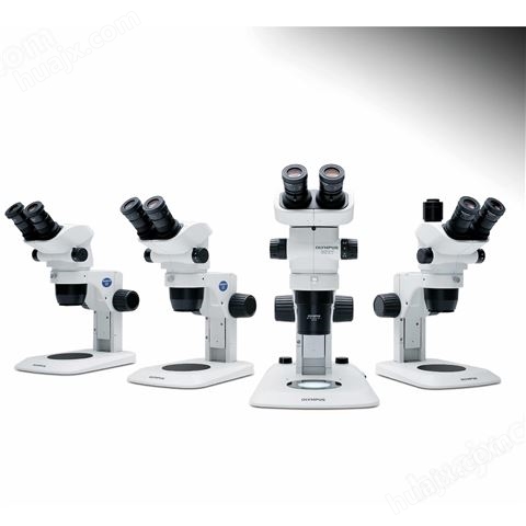 奥林巴斯SZ51-SET自然光体视显微镜